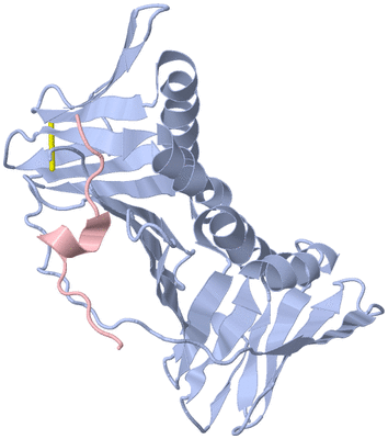 Image Biological Unit 1