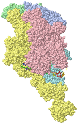 Image Asym./Biol. Unit