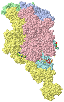 Image Asym./Biol. Unit - sites