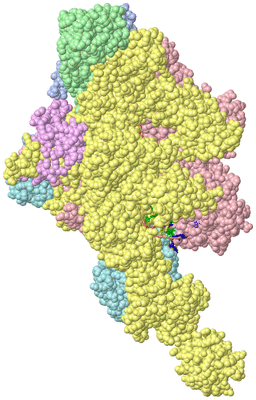 Image Asym./Biol. Unit