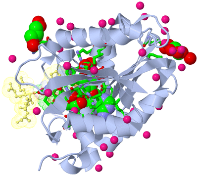 Image Biol. Unit 1 - sites