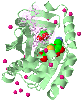 Image Biological Unit 2