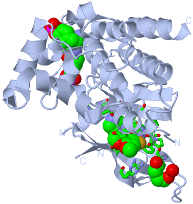 Image Biol. Unit 1 - sites