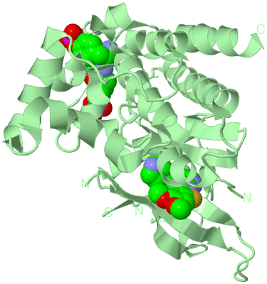 Image Biological Unit 2