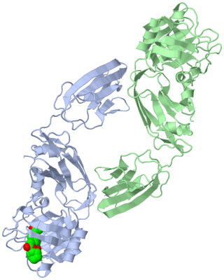 Image Biological Unit 3