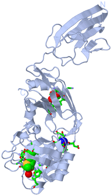 Image Biol. Unit 1 - sites