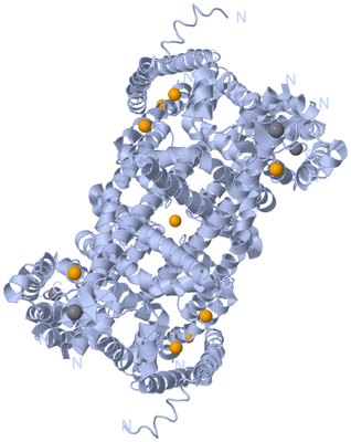 Image Biological Unit 1