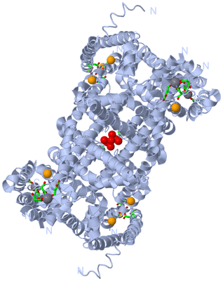 Image Biol. Unit 1 - sites