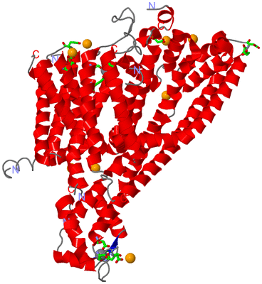 Image Asym. Unit - sites