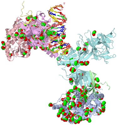 Image Biological Unit 3