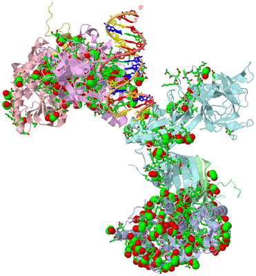 Image Asym. Unit - sites