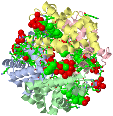 Image Asym./Biol. Unit - sites