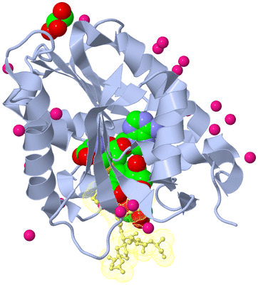 Image Biological Unit 1