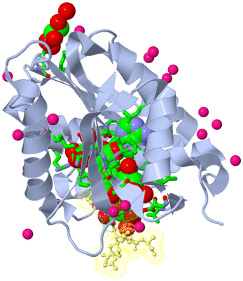 Image Biol. Unit 1 - sites