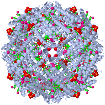 Image Biol. Unit 1 - sites