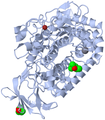 Image Biological Unit 1