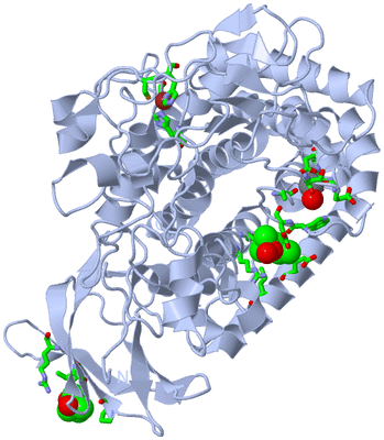 Image Biol. Unit 1 - sites