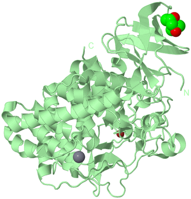 Image Biological Unit 2