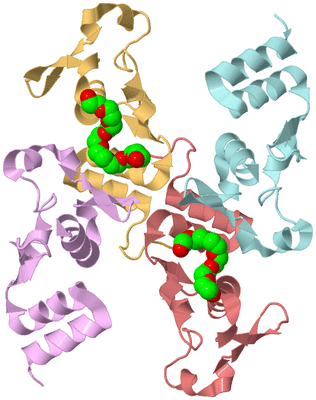 Image Biological Unit 10