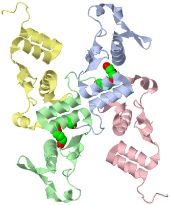 Image Biological Unit 9