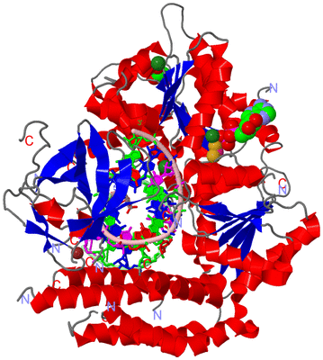 Image Asym./Biol. Unit