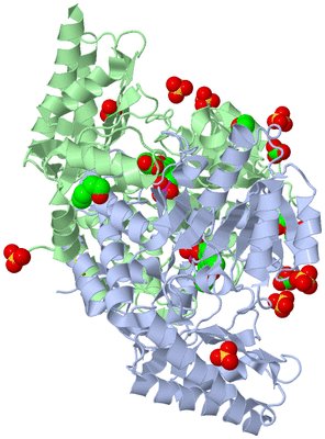 Image Asym./Biol. Unit