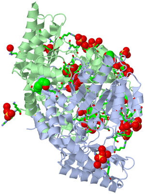 Image Asym./Biol. Unit - sites