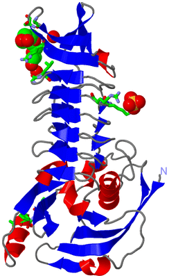 Image Asym. Unit - sites