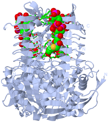 Image Biol. Unit 1 - sites