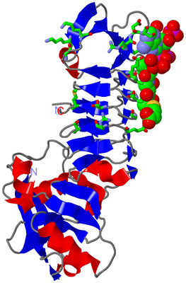 Image Asym. Unit - sites