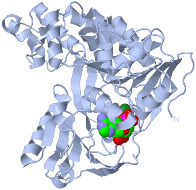 Image Biological Unit 1