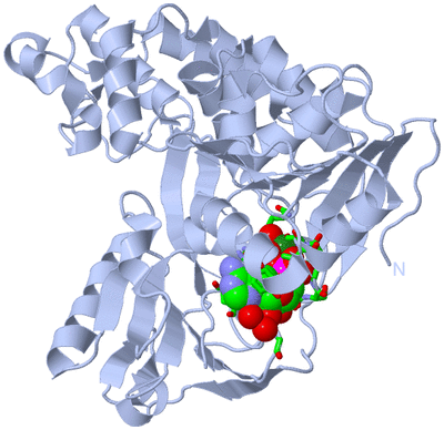 Image Biol. Unit 1 - sites