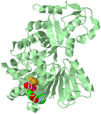 Image Biological Unit 2