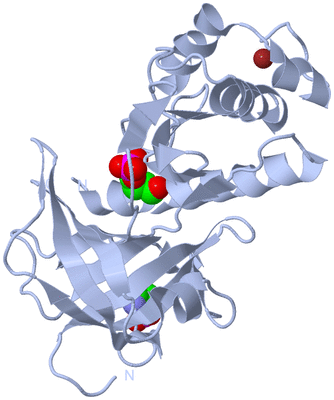 Image Biological Unit 1