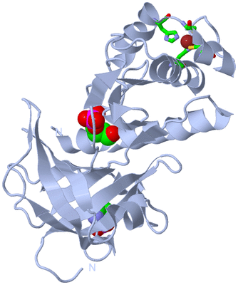 Image Biol. Unit 1 - sites