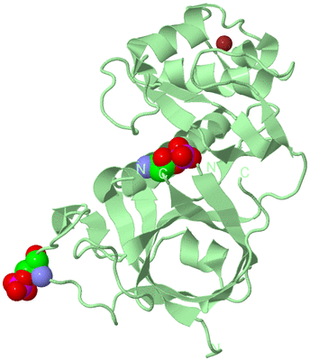 Image Biological Unit 2