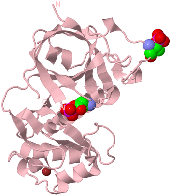 Image Biological Unit 3