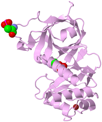 Image Biological Unit 5