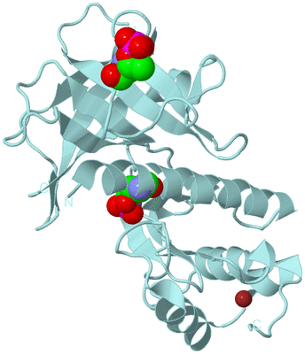 Image Biological Unit 6