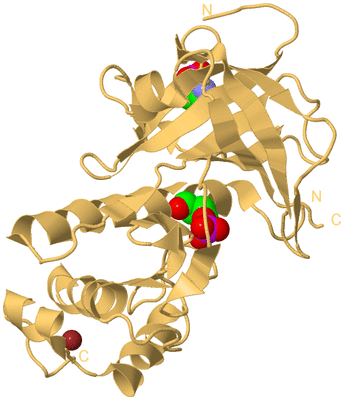 Image Biological Unit 7