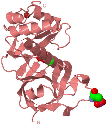 Image Biological Unit 8