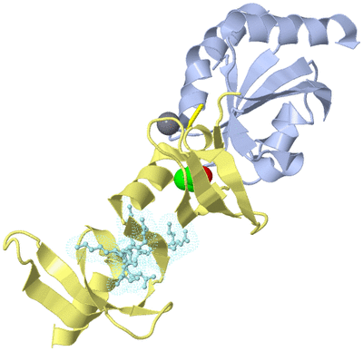 Image Biological Unit 1