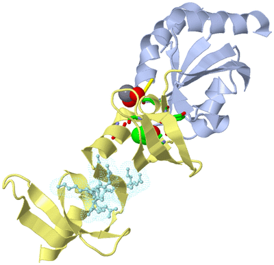 Image Biol. Unit 1 - sites