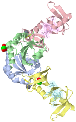 Image Biological Unit 2