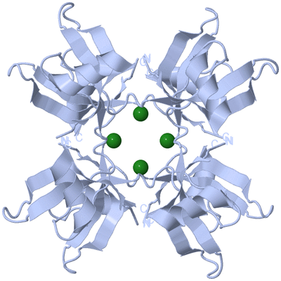 Image Biological Unit 1