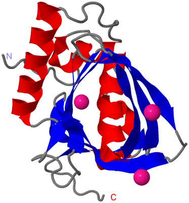 Image Asymmetric Unit