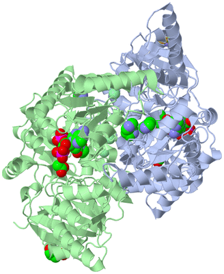 Image Asym./Biol. Unit