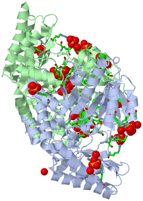 Image Asym./Biol. Unit - sites