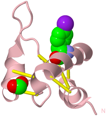 Image Biological Unit 3