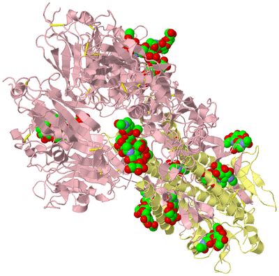 Image Biological Unit 2